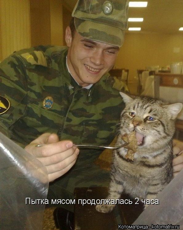 Пытка мясом продолжалась 2 часа... Котоматрица: Пытка мясом продолжалась 2 часа