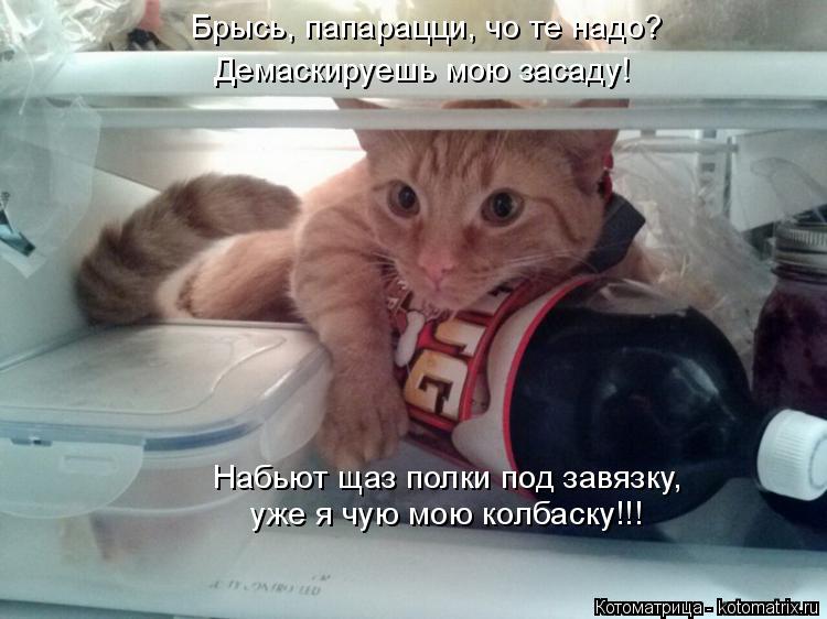 Набьют щаз полки под завязку, уже я чую мою колбаску!!! Брысь, папарацци, чо те надо? Демаскируешь м... Котоматрица: Набьют щаз полки под завязку, уже я чую мою колбаску!!! Брысь, папарацци, чо те надо? Демаскируешь мою засаду!