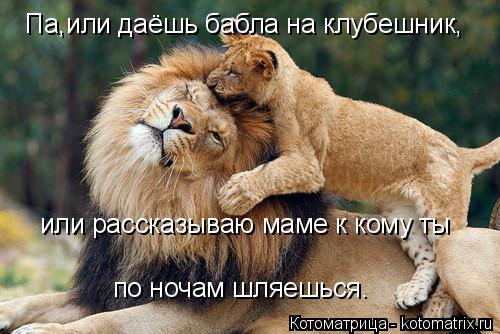 Котоматрица: Па,или даёшь бабла на клубешник, или рассказываю маме к кому ты по ночам шляешься.