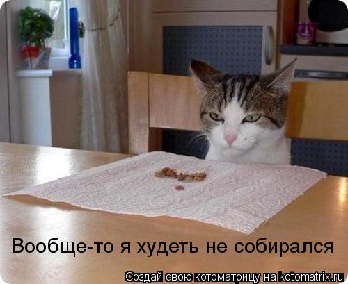 Вообще-то я худеть не собирался... Котоматрица: Вообще-то я худеть не собирался
