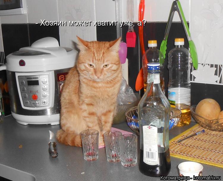 - Хозяин может хватит уже, а?... Котоматрица: - Хозяин может хватит уже, а?