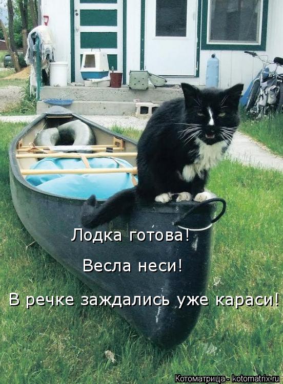 Котоматрица: Лодка готова! Весла неси! В речке заждались уже караси!
