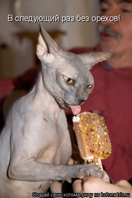 Котоматрица: Вс В следующий раз без орехов!
