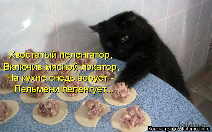 Включив мясной локатор, Хвостатый пеленгатор, На кухне снедь ворует - Пельмени пеленгует...... Котоматрица: Включив мясной локатор, Хвостатый пеленгатор, На кухне снедь ворует - Пельмени пеленгует...