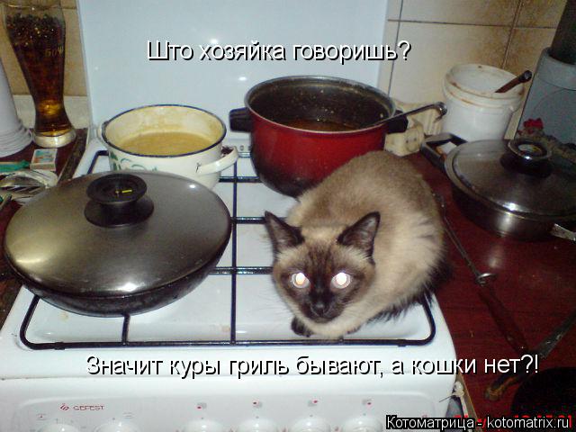 Што хозяйка говоришь? Значит куры гриль бывают, а кошки нет?!... Котоматрица: Што хозяйка говоришь? Значит куры гриль бывают, а кошки нет?!