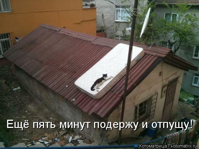 Котоматрица: Ещё пять минут подержу и отпущу!