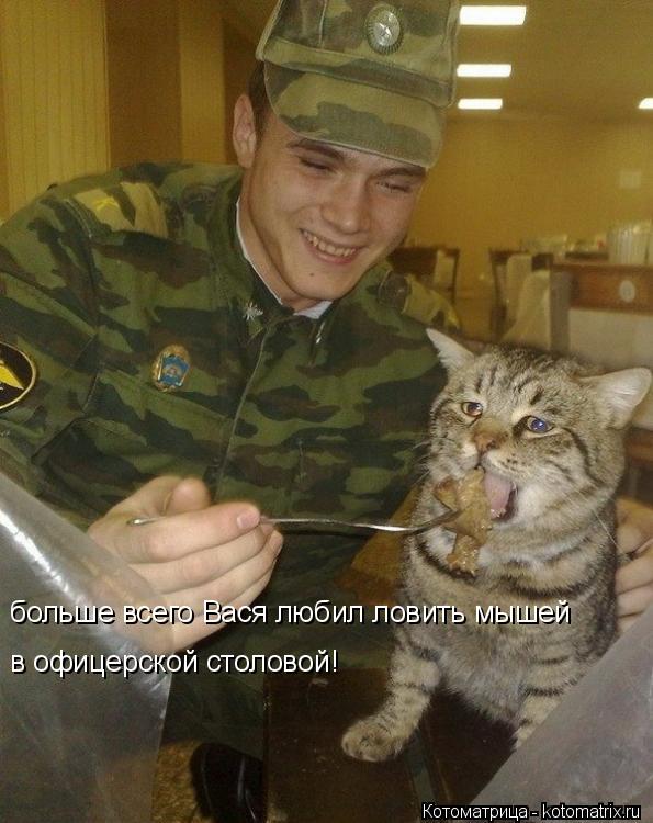 больше всего Вася любил ловить мышей в офицерской столовой!... Котоматрица: больше всего Вася любил ловить мышей в офицерской столовой!