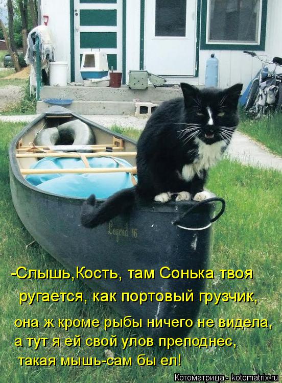 -Слышь,Кость, там Сонька твоя ругается, как портовый грузчик, она ж кроме рыбы ничего не видела, а ту... Котоматрица: -Слышь,Кость, там Сонька твоя ругается, как портовый грузчик, она ж кроме рыбы ничего не видела, а тут я ей свой улов преподнес, такая мышь-сам