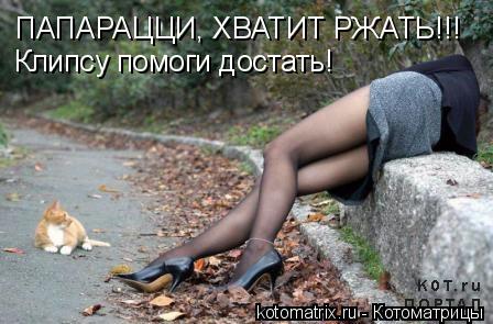 Котоматрица: ПАПАРАЦЦИ, ХВАТИТ РЖАТЬ!!! Клипсу помоги достать!