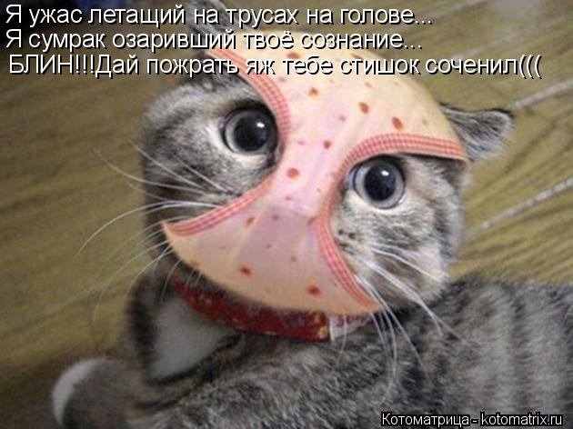 Я ужас летащий на трусах на голове... Я сумрак озаривший твоё сознание... БЛИН!!!Дай пожрать яж тебе ... Котоматрица: Я ужас летащий на трусах на голове... Я сумрак озаривший твоё сознание... БЛИН!!!Дай пожрать яж тебе стишок соченил(((