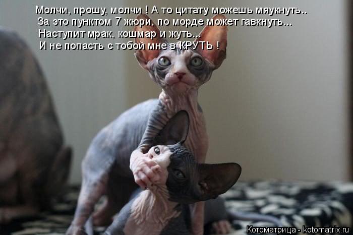 Котоматрица: Молчи, прошу, молчи ! А то цитату можешь мяукнуть.. За это пунктом 7 жюри, по морде может гавкнуть... Наступит мрак, кошмар и жуть... И не попасть 