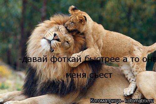 Котоматрица: -давай фоткай быстрее а  -давай фоткай быстрее а то она меня съест  меня съест