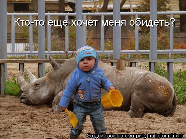 Котоматрица: Кто-то еще хочет меня обидеть?