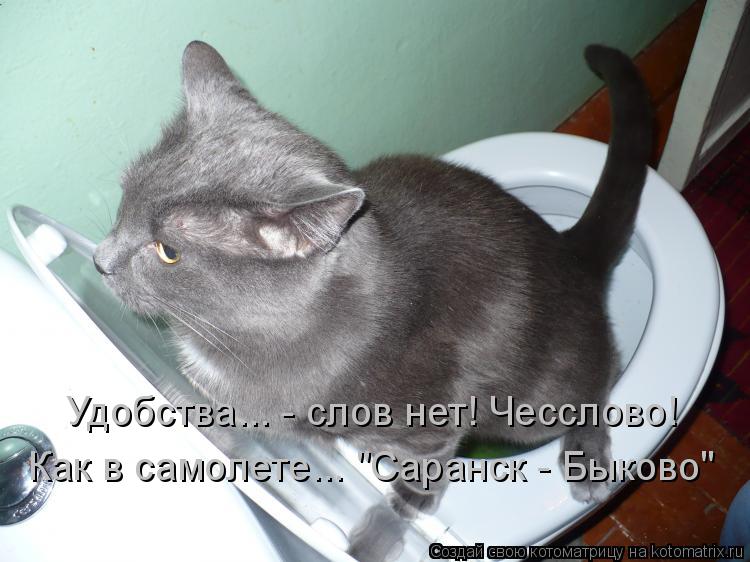 Котоматрица: Удобства... - слов нет! Чесслово! Как в самолете... "Саранск - Быково"