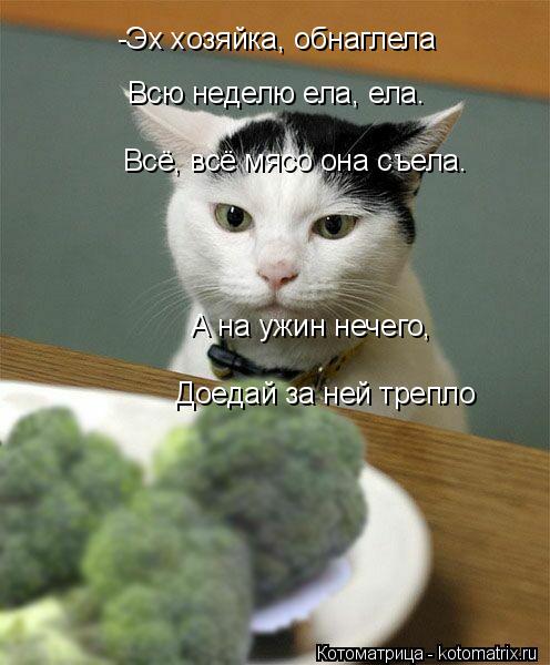 Котоматрица: -Эх хозяйка, обнаглела Всю неделю ела, ела. Всё, всё мясо она съела. А на ужин нечего, Доедай за ней трепло