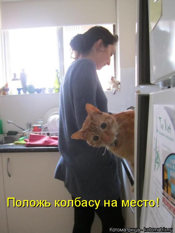 Положь колбасу на место!... Котоматрица: Положь колбасу на место!