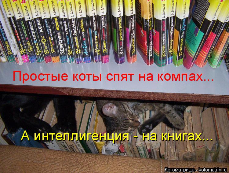 Котоматрица: Простые коты спят на компах... А интеллигенция - на книгах...