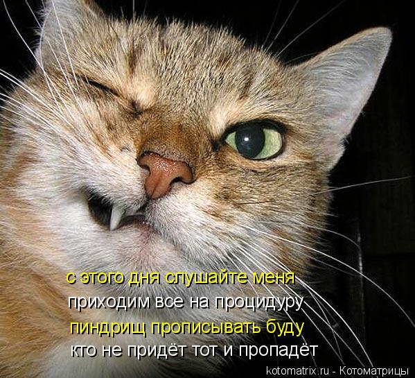 с этого дня слушайте меня приходим все на процидуру пиндрищ прописывать буду кто не придёт тот и про... Котоматрица: с этого дня слушайте меня приходим все на процидуру пиндрищ прописывать буду кто не придёт тот и пропадёт