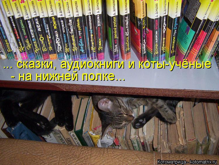 ... сказки, аудиокниги и коты-учёные - на нижней полке...... Котоматрица: ... сказки, аудиокниги и коты-учёные - на нижней полке...