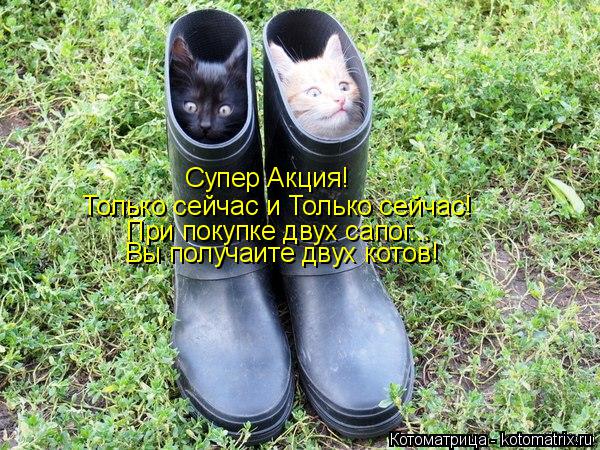 Супер Акция! Только сейчас и Только сейчас! При покупке двух сапог... Вы получаите двух котов!... Котоматрица: Супер Акция! Только сейчас и Только сейчас! При покупке двух сапог... Вы получаите двух котов!