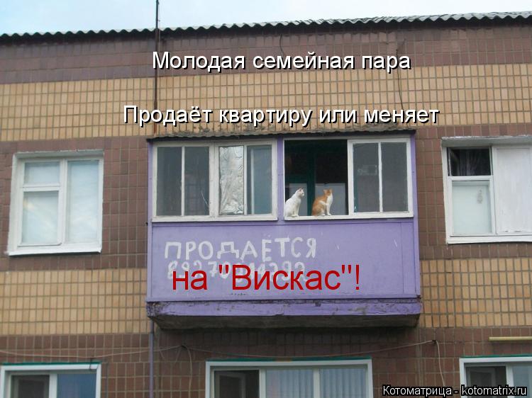 Молодая семейная пара Продаёт квартиру или меняет на "Вискас"!... Котоматрица: Молодая семейная пара Продаёт квартиру или меняет на "Вискас"!