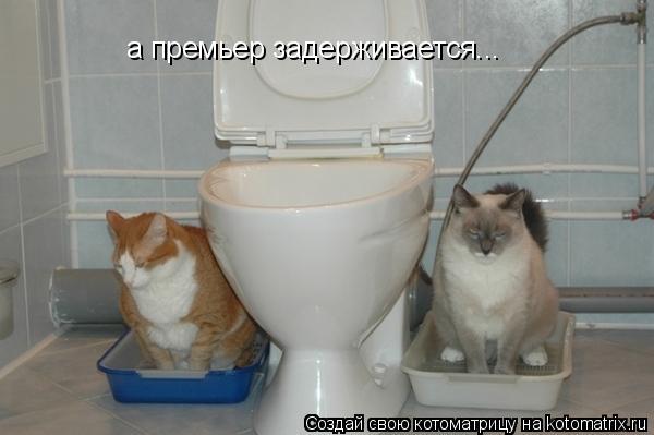 а премьер задерживается...... Котоматрица: а премьер задерживается...