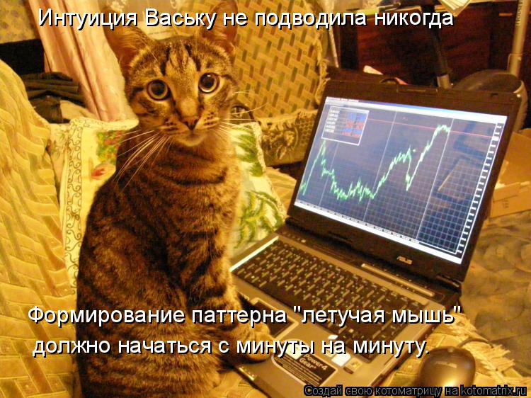 Интуиция Ваську не подводила никогда Интуиция Ваську не подводила никогда Формирование паттерна "лету... Котоматрица: Интуиция Ваську не подводила никогда Интуиция Ваську не подводила никогда Формирование паттерна "летучая мышь" должно начаться с минуты н