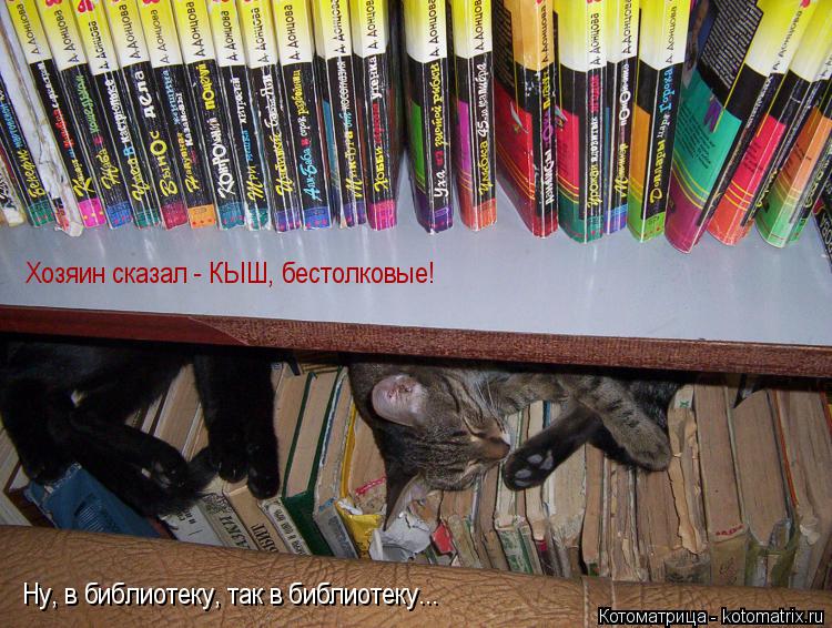 Хозяин сказал - КЫШ, бестолковые! Ну, в библиотеку, так в библиотеку...... Котоматрица: Хозяин сказал - КЫШ, бестолковые! Ну, в библиотеку, так в библиотеку...