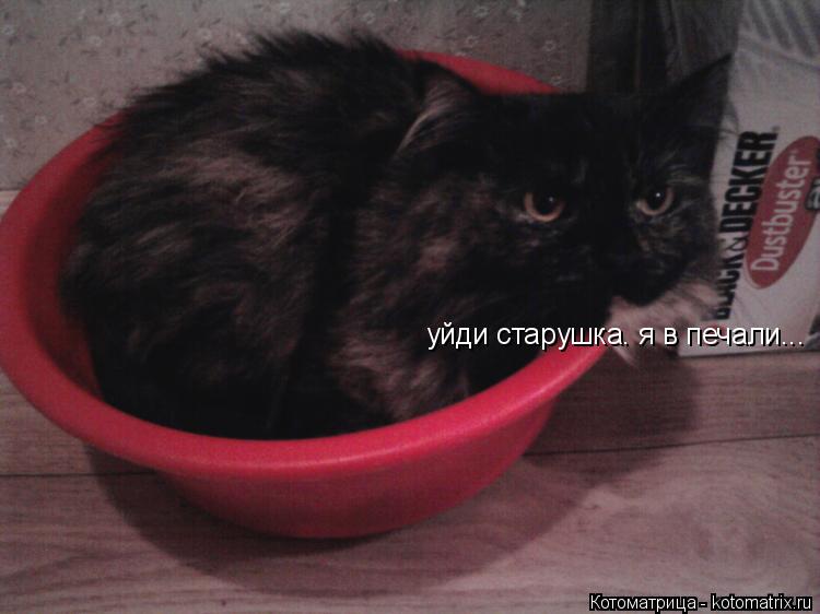 уйди старушка. я в печали...... Котоматрица: уйди старушка. я в печали...