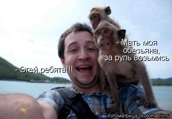 - Эгей ребята!!! - Мать моя за руль возьмись обезьяна,... Котоматрица: - Эгей ребята!!! - Мать моя за руль возьмись обезьяна,