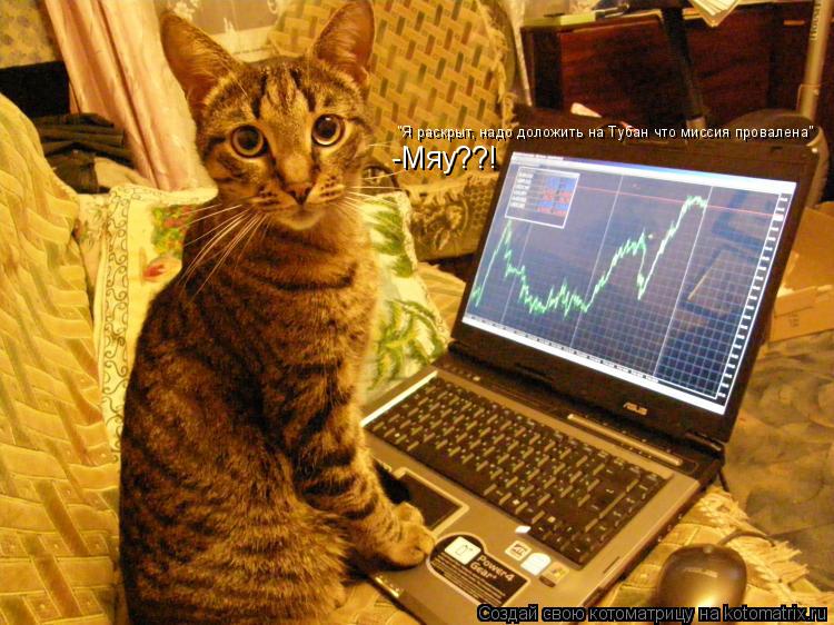 -Мяу??! "Я раскрыт, надо доложить на Тубан что миссия провалена"... Котоматрица: -Мяу??! "Я раскрыт, надо доложить на Тубан что миссия провалена"