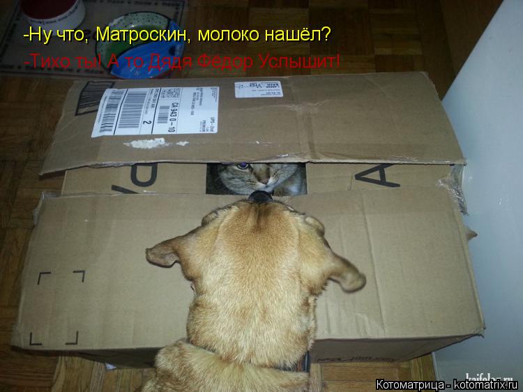 -Ну что, Матроскин, молоко нашёл? -Тихо ты! А то Дядя Фёдор Услышит!... Котоматрица: -Ну что, Матроскин, молоко нашёл? -Тихо ты! А то Дядя Фёдор Услышит!