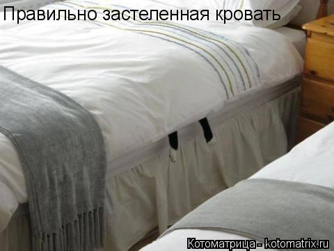Правильно застеленная кровать... Котоматрица: Правильно застеленная кровать