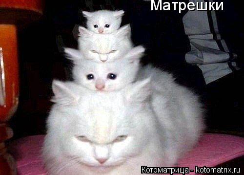 Матрешки... Котоматрица: Матрешки
