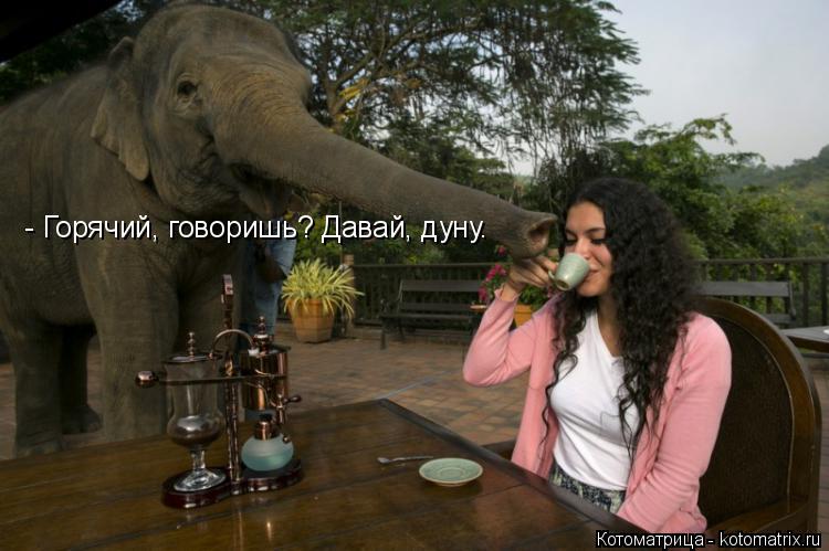 Котоматрица: - Горячий, говоришь? Давай, дуну.