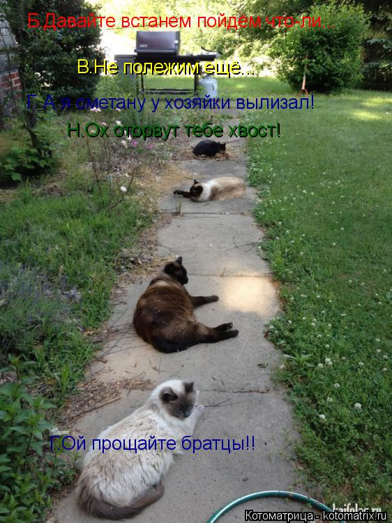 Б.Давайте встанем пойдём что-ли... В.Не полежим ещё... Г. А я сметану у хозяйки вылизал! Н.Ох оторву... Котоматрица: Б.Давайте встанем пойдём что-ли... В.Не полежим ещё... Г. А я сметану у хозяйки вылизал! Н.Ох оторвут тебе хвост! Г.Ой прощайте братцы!!