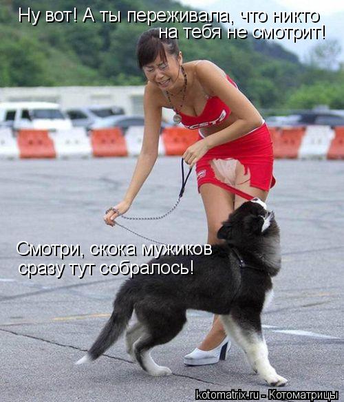 Ну вот! А ты переживала, что никто на тебя не смотрит! Смотри, скока мужиков сразу тут собралось!... Котоматрица: Ну вот! А ты переживала, что никто на тебя не смотрит! Смотри, скока мужиков сразу тут собралось!