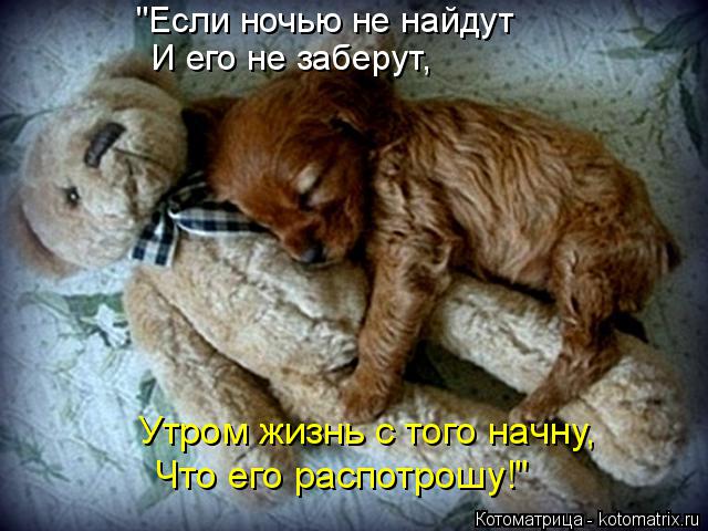 "Если ночью не найдут И его не заберут, Что его распотрошу!" Утром жизнь с того начну,... Котоматрица: "Если ночью не найдут И его не заберут, Что его распотрошу!" Утром жизнь с того начну,