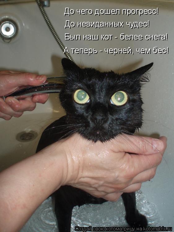 Котоматрица: До чего дошел прогресс! До невиданных чудес!  Был наш кот - белее снега! А теперь - черней, чем бес!