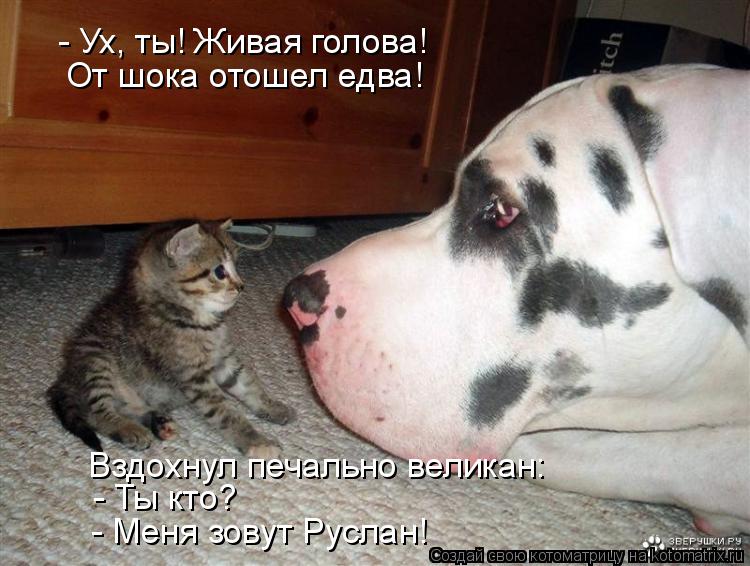- Ух, ты! Живая голова! От шока отошел едва! Вздохнул печально великан: - Ты кто? - Меня зовут Русла... Котоматрица: - Ух, ты! Живая голова! От шока отошел едва! Вздохнул печально великан: - Ты кто? - Меня зовут Руслан!