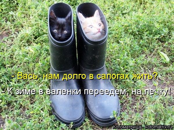 Котоматрица: - Вась, нам долго в сапогах жить? - К зиме в валенки переедем, на печку!