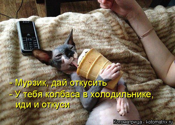 - Мурзик, дай откусить - У тебя колбаса в холодильнике, иди и откуси... Котоматрица: - Мурзик, дай откусить - У тебя колбаса в холодильнике, иди и откуси