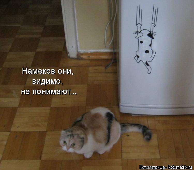 Намеков они, видимо, не понимают...... Котоматрица: Намеков они, видимо, не понимают...