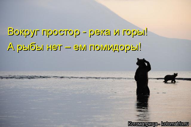 Вокруг простор - река и горы! А рыбы нет – ем помидоры!... Котоматрица: Вокруг простор - река и горы! А рыбы нет – ем помидоры!