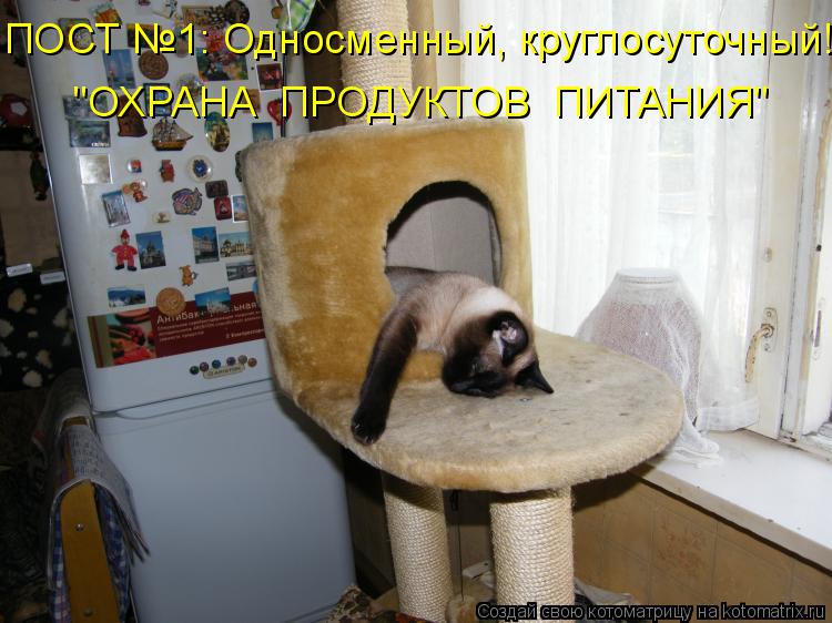 Котоматрица: ПОСТ №1: Односменный, круглосуточный! "ОХРАНА  ПРОДУКТОВ  ПИТАНИЯ"