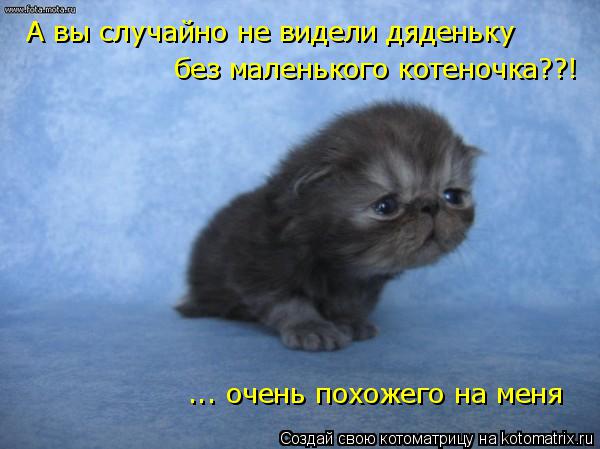 А вы случайно не видели дяденьку без маленького котеночка??! ... очень похожего на меня... Котоматрица: А вы случайно не видели дяденьку без маленького котеночка??! ... очень похожего на меня