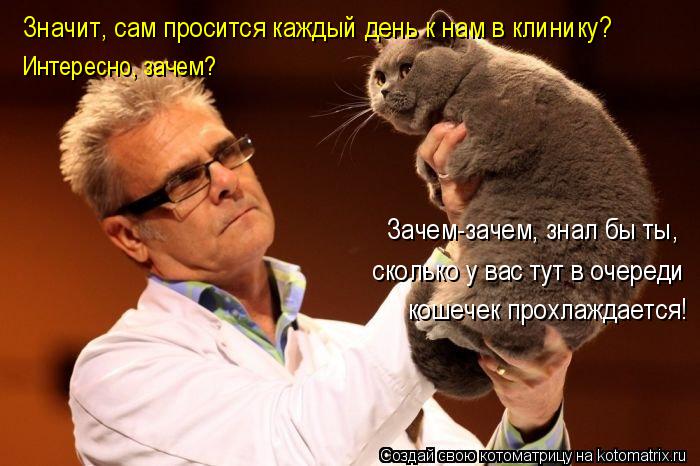 Котоматрица: Значит, сам просится каждый день к нам в клинику? Интересно, зачем? Зачем-зачем, знал бы ты,  сколько у вас тут в очереди  кошечек прохлаждаетс