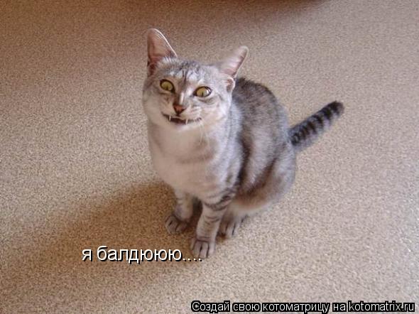 я балдююю....... Котоматрица: я балдююю....
