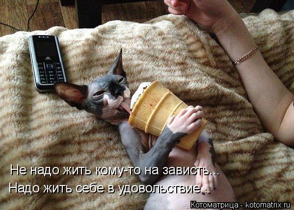 Не надо жить кому-то на зависть... Надо жить себе в удовольствие...... Котоматрица: Не надо жить кому-то на зависть... Надо жить себе в удовольствие...