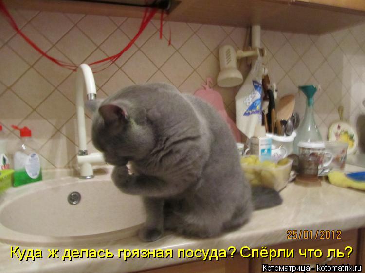 Котоматрица: Куда ж делась грязная посуда? Спёрли что ль?